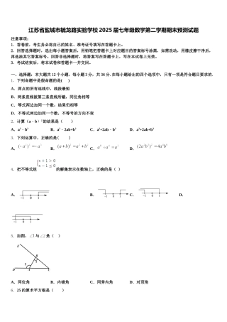 江苏省盐城市毓龙路实验学校2025届七年级数学第二学期期末预测试题含解析