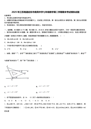 2025年江苏南通启东市南苑中学七年级数学第二学期期末考试模拟试题含解析