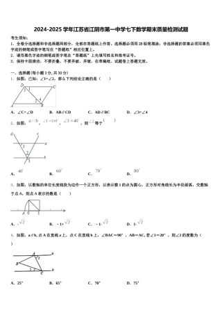 2024-2025学年江苏省江阴市第一中学七下数学期末质量检测试题含解析