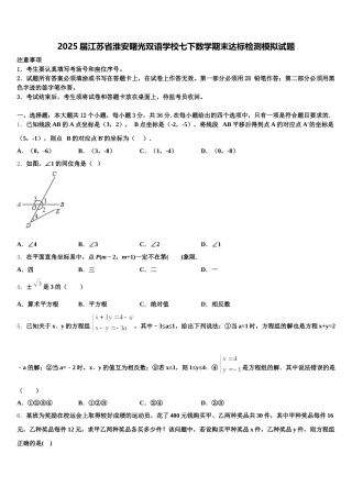 2025届江苏省淮安曙光双语学校七下数学期末达标检测模拟试题含解析