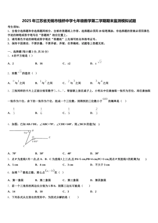 2025年江苏省无锡市钱桥中学七年级数学第二学期期末监测模拟试题含解析