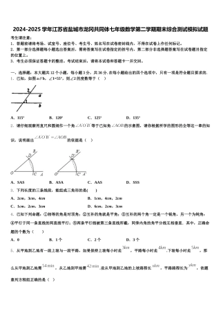 2024-2025学年江苏省盐城市龙冈共同体七年级数学第二学期期末综合测试模拟试题含解析