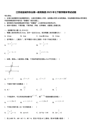 江苏省盐城市东台第一教育集团2025年七下数学期末考试试题含解析