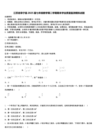 江苏省阜宁县2025届七年级数学第二学期期末学业质量监测模拟试题含解析