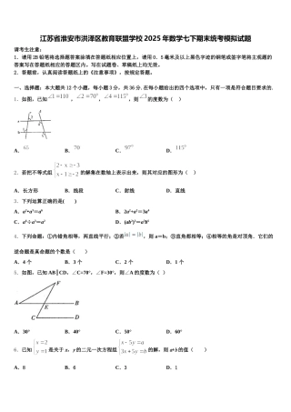 江苏省淮安市洪泽区教育联盟学校2025年数学七下期末统考模拟试题含解析