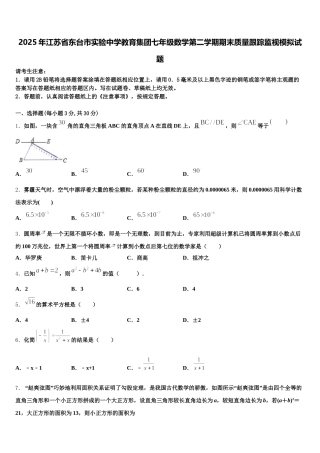 2025年江苏省东台市实验中学教育集团七年级数学第二学期期末质量跟踪监视模拟试题含解析