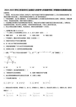 2024-2025学年江苏省苏州工业园区七校联考七年级数学第二学期期末经典模拟试题含解析
