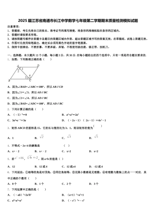 2025届江苏省南通市长江中学数学七年级第二学期期末质量检测模拟试题含解析
