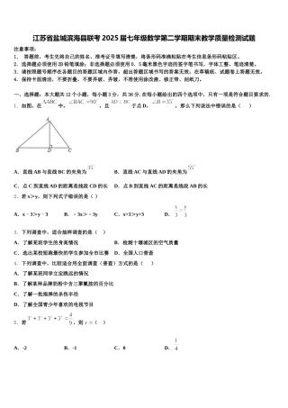 江苏省盐城滨海县联考2025届七年级数学第二学期期末教学质量检测试题含解析