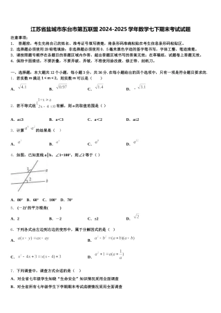 江苏省盐城市东台市第五联盟2024-2025学年数学七下期末考试试题含解析