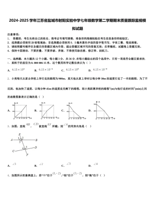 2024-2025学年江苏省盐城市射阳实验中学七年级数学第二学期期末质量跟踪监视模拟试题含解析