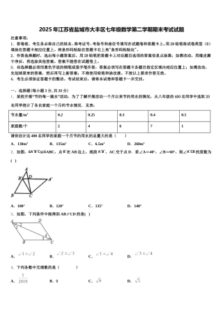 2025年江苏省盐城市大丰区七年级数学第二学期期末考试试题含解析