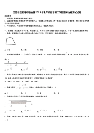 江苏省连云港市赣榆县2025年七年级数学第二学期期末达标测试试题含解析