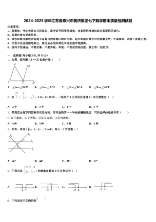 2024-2025学年江苏省泰兴市黄桥集团七下数学期末质量检测试题含解析