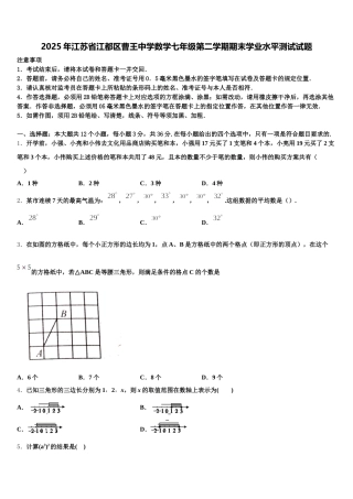 2025年江苏省江都区曹王中学数学七年级第二学期期末学业水平测试试题含解析