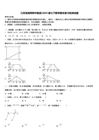 江苏省南师附中集团2025届七下数学期末复习检测试题含解析