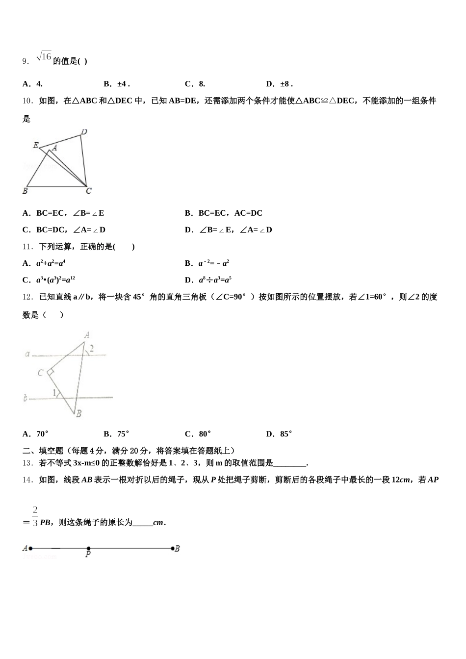2024-2025学年江苏省重点中学数学七下期末复习检测模拟试题含解析_第3页
