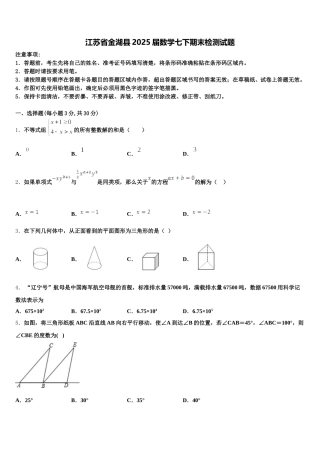江苏省金湖县2025届数学七下期末检测试题含解析