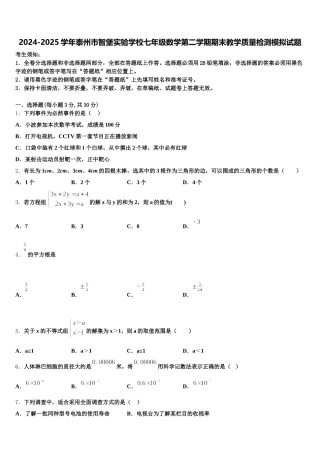2024-2025学年泰州市智堡实验学校七年级数学第二学期期末教学质量检测模拟试题含解析