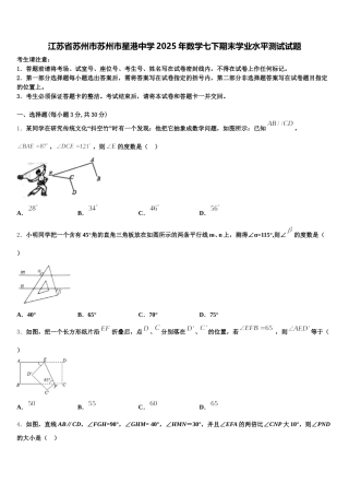 江苏省苏州市苏州市星港中学2025年数学七下期末学业水平测试试题含解析