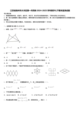 江苏省扬州市大丰区第一共同体2024-2025学年数学七下期末监测试题含解析