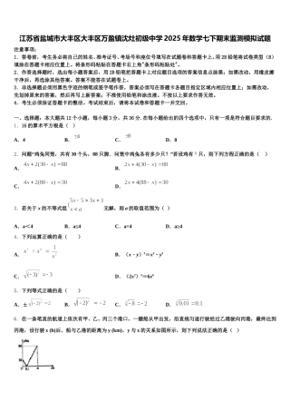 江苏省盐城市大丰区大丰区万盈镇沈灶初级中学2025年数学七下期末监测模拟试题含解析