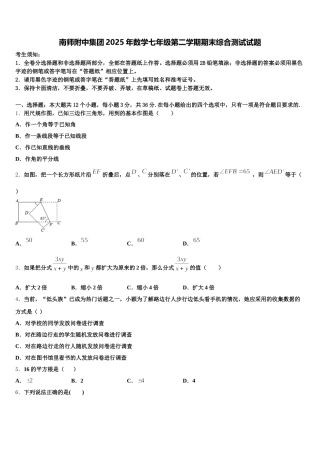 南师附中集团2025年数学七年级第二学期期末综合测试试题含解析