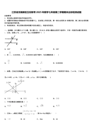 江苏省无锡新区五校联考2025年数学七年级第二学期期末达标检测试题含解析