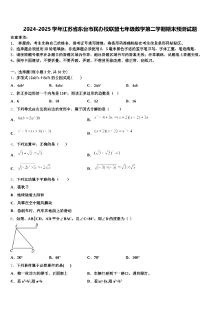 2024-2025学年江苏省东台市民办校联盟七年级数学第二学期期末预测试题含解析