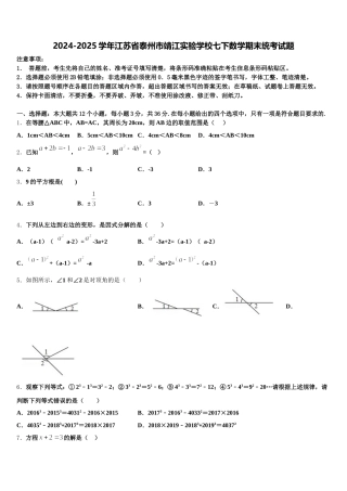 2024-2025学年江苏省泰州市靖江实验学校七下数学期末统考试题含解析