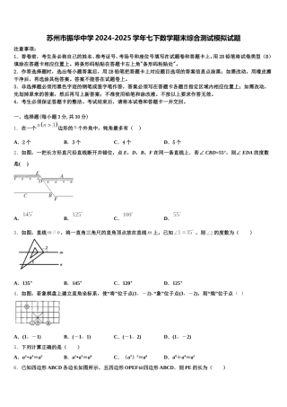 苏州市振华中学2024-2025学年七下数学期末综合测试模拟试题含解析