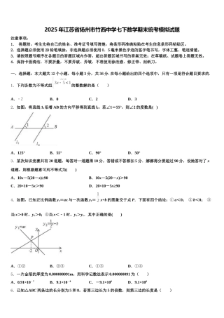 2025年江苏省扬州市竹西中学七下数学期末统考模拟试题含解析