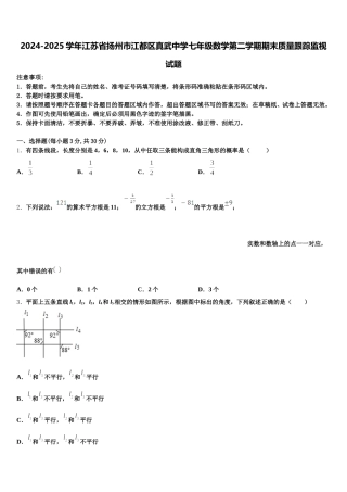 2024-2025学年江苏省扬州市江都区真武中学七年级数学第二学期期末质量跟踪监视试题含解析