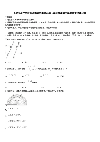2025年江苏省盐城市射阳实验中学七年级数学第二学期期末经典试题含解析