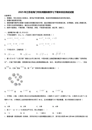 2025年江苏省海门市东洲国际数学七下期末综合测试试题含解析