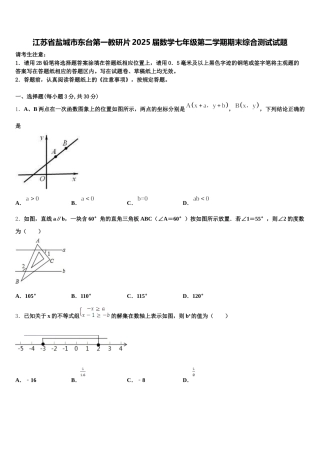 江苏省盐城市东台第一教研片2025届数学七年级第二学期期末综合测试试题含解析