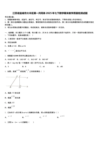 江苏省盐城市大丰区第一共同体2025年七下数学期末教学质量检测试题含解析