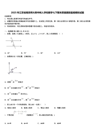 2025年江苏省南京师大附中树人学校数学七下期末质量跟踪监视模拟试题含解析