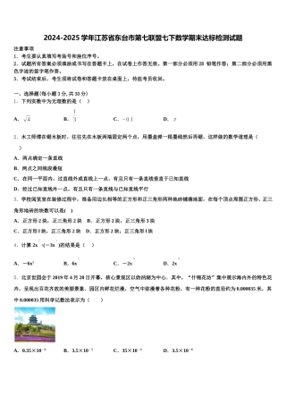 2024-2025学年江苏省东台市第七联盟七下数学期末达标检测试题含解析