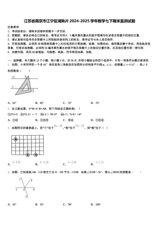 江苏省南京市江宁区湖熟片2024-2025学年数学七下期末监测试题含解析