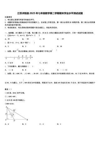 江苏沭阳县2025年七年级数学第二学期期末学业水平测试试题含解析