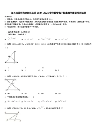 江苏省苏州市高新区实验2024-2025学年数学七下期末教学质量检测试题含解析