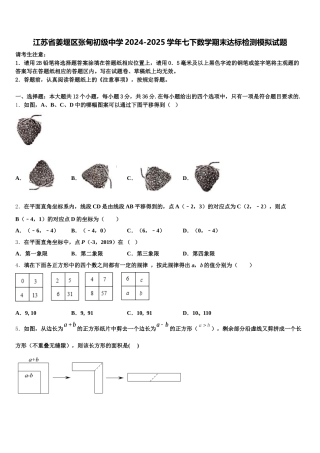 江苏省姜堰区张甸初级中学2024-2025学年七下数学期末达标检测模拟试题含解析
