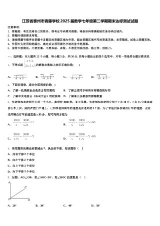 江苏省泰州市青藤学校2025届数学七年级第二学期期末达标测试试题含解析