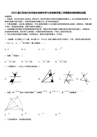 2025届江苏省兴化市楚水初级中学七年级数学第二学期期末调研模拟试题含解析