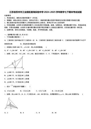 江苏省苏州市工业园区星海实验中学2024-2025学年数学七下期末考试试题含解析