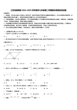 江苏省姜堰区2024-2025学年数学七年级第二学期期末质量检测试题含解析