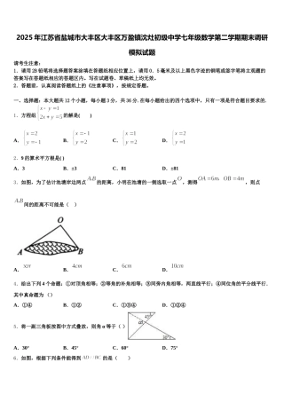 2025年江苏省盐城市大丰区大丰区万盈镇沈灶初级中学七年级数学第二学期期末调研模拟试题含解析