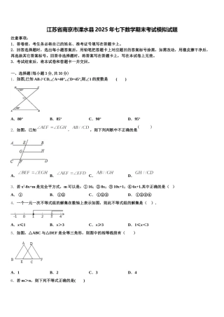 江苏省南京市溧水县2025年七下数学期末考试模拟试题含解析