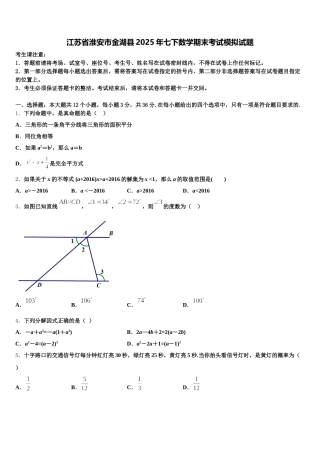 江苏省淮安市金湖县2025年七下数学期末考试模拟试题含解析